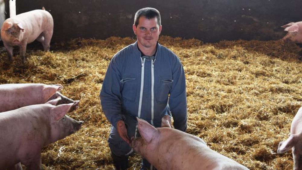 Aujourd’hui, tous les porcs qui sortent de l’élevage d’Olivier Huart sont destinés à la filière Porc fermier sarthois. L’éleveur apprécie de travailler pour une filière 100 % locale. © Anne Mabire